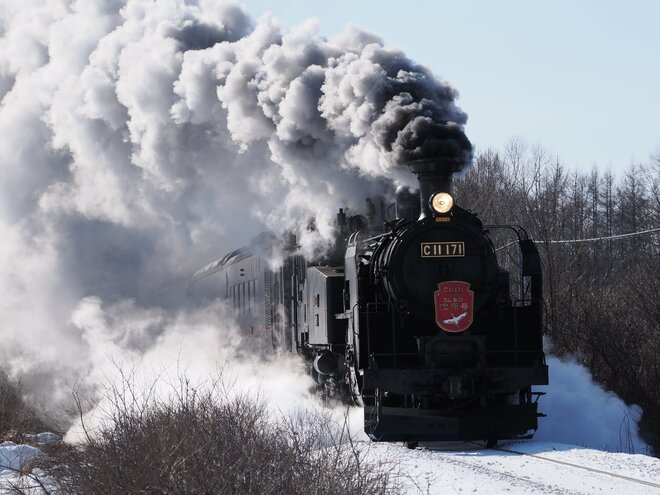 「えっ！？　汽車の窓からタンチョウが！」鉄道で楽しむ冬の旅【北海道・厳冬の釧路湿原レポート（4）SL冬の湿原号】の画像001