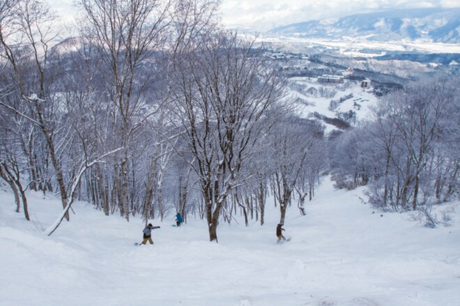 【斑尾高原・長野県】多彩なツリーランコースで通称「マダパウ」に魅了されるの画像005