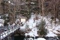 雪山ビギナーでもOK！ 「北八ヶ岳」絶景スノートレッキング「渋の湯登山口」から「高見石展望台」往復約4時間「ハイキングレポ」の画像001