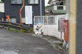 低山でも「比叡山」まで展望OK！  京都から20分「京田辺・甘南備山」での片道30分ハイキング＆“ご当地”の見どころ満載「一休さんとんちロード」レポの画像002