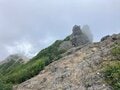 残暑を避けて登りたい「歩き出しから涼しい日帰りがっつりルート」 八ヶ岳・権現岳の画像007
