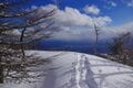 【山頂まで片道わずか1時間の雪山登山】下山後即温泉もセットで楽しめる絶景雪稜歩き・後編＜高峯山＞【今日も山旅気分 vol.38】の画像005