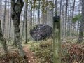 【首都圏近郊】1時間半で登頂できる山梨の隠れ名山「小楢山」紅葉の見頃はもうすぐ！の画像021