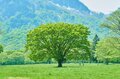 “5月こそ”がキャンプのベストシーズンなワケとは？『初夏が気持ちいい！  グリーンシーズンに最適なキャンプ場』3選【絶景キャンプ場ガイド-言葉を失うほどの風景に会いに行こう- vol.9】の画像010