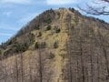 「富士山＆南アルプス」絶景の”水の山”「笠取山」ハイキング！  見どころ「小さな分水嶺」と多摩川源流ポイント「水干」＆名物「心臓破りの急登」レポートの画像005