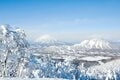 【春スキー＆スノーボードは北海道で！】3月以降もたっぷりの雪を満喫できる「北海道のスノーリゾート」7選   2025年の画像003