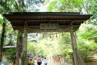 【新緑の高尾山は下山後もおもしろい】初心者向け「高尾山ハイキング」ガイド