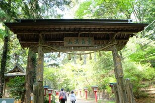 【新緑の高尾山は下山後もおもしろい】初心者向け「高尾山ハイキング」ガイド