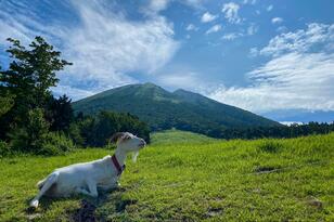 日本名峰ランキング3位！「東の富士山、西の大山」と称される鳥取の名峰「大山」の魅力をファミリーで楽しめる「リゾートネットワーク」アクティビティ
