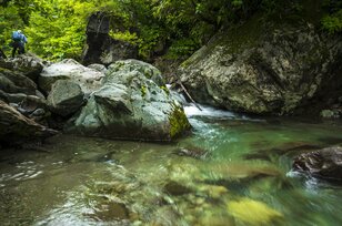 【渓流釣り】 山に生息する “ガングロ”！ 「山岳渓流の黒いイワナ」 長野県・北信エリア 2024年