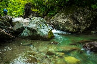 渓流釣り】 山に生息する “ガングロ”！ 「山岳渓流の黒いイワナ」 長野県・北信エリア 2024年｜アクティビティ｜レポート｜BRAVO  MOUNTAIN