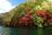 湖上から「紅葉絶景」360度展望！ 10月初旬「丸沼」で「秋のワカサギ」釣行！  帰宅後は天ぷらでシメる、まさに「釣り人の特権」満喫レポ【群馬県片品村】の画像004