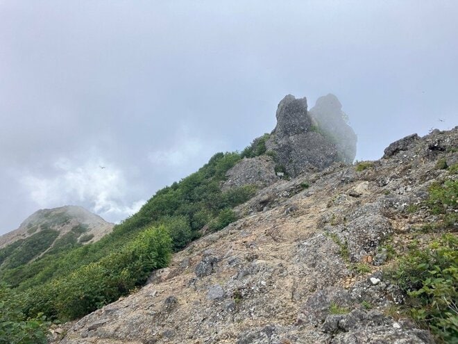 残暑を避けて登りたい「歩き出しから涼しい日帰りがっつりルート」 八ヶ岳・権現岳の画像007