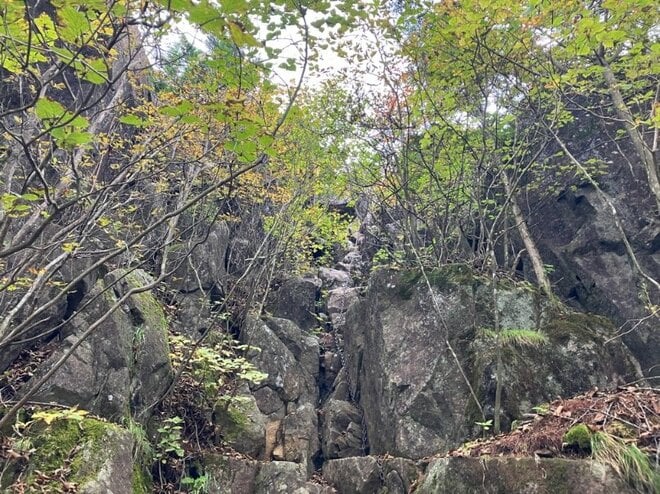 【首都圏近郊】1時間半で登頂できる山梨の隠れ名山「小楢山」紅葉の見頃はもうすぐ！の画像017