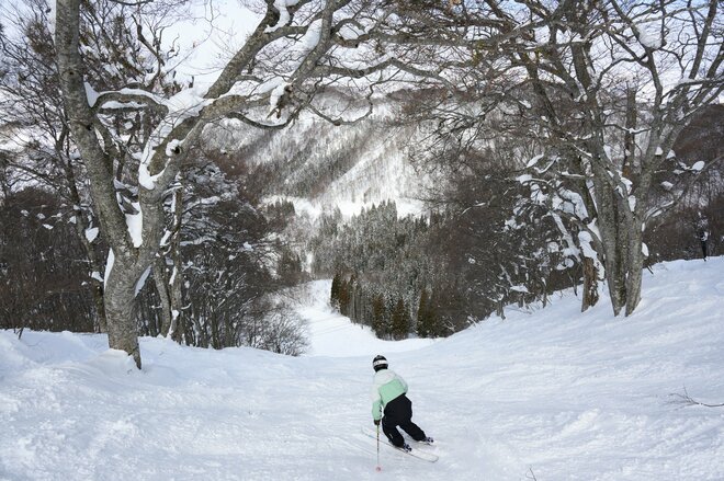 【野沢温泉スキー場】国内有数のビッグゲレンデを「日帰り」で楽しみ尽くす！  野沢へ行くなら「滑るべきコース」はここ！ の画像013