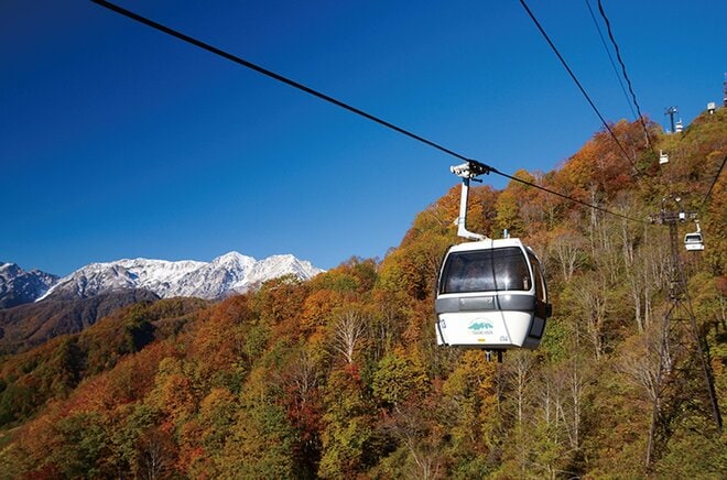 「中部山岳国立公園 栂池自然園」 迫力の白馬三山を眺めながら錦秋の湿原地帯を歩く【紅葉フォトトレッキングガイド vol.6】長野県・白馬エリアの画像002