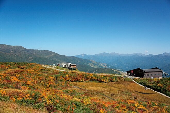 「八方アルペンライン」 ゴンドラ、リフトを乗り継ぎ白馬三山が迫る壮大な山岳世界へ【紅葉フォトトレッキングガイド vol.4】長野県・白馬エリアの画像004