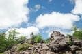百名山「浅間山」となりの穴場「高峰山」ハイキング！  絶景「富士山・八ヶ岳」＆2,000ｍ「高山植物の宝庫」レポの画像003