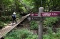 【開聞岳＆霧島山】登山好きを魅了する鹿児島の「日本百名山 2座」を “はしご” でめぐるの画像019