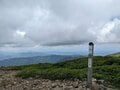 満開に咲き乱れる「ミヤマキンポウゲ」の花畑！  高山植物の宝庫・花の百名山「焼石岳」フラワートレッキングレポの画像006