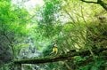 コロンビアが提案する “着る猛暑対策”「トレイルラッシュシリーズ」とはの画像010