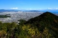 【1月は富士山を眺めに】温暖な静岡「満観峰」で楽しむ新春山はじめ【月めくりの低山カレンダー vol.1】の画像002
