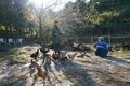【滝つぼが水風呂！】徳島移住女性オーナーが建てた「森を再生させるDIYサウナ」での唯一無二「大自然サウナ」体験取材の画像015