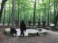脅威的な自然の回復力！かつての軍事訓練場が今は ”2500種以上の絶滅危惧種” の住む公園に。ドイツ「アイフェル国立公園」が豊かな自然を取り戻すまで【キジ博士のナチュラリスト入門 vol.3】の画像004
