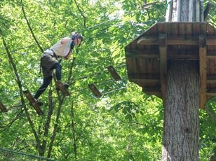 アウトドア初心者の女子も「絶景＆スリル＆大滑空」満喫！  大人こそ体験したい「フォレストアドベンチャー」 樹上アスレチック・ジップライン3選！