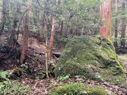 ＜紅葉前に“関西屈指”のススキの大海原もお見逃しなく！＞大阪市内から“車で小一時間で行ける”「岩湧山」ハイキングルート【里山アドベンチャー！ソトアソ日和 vol.７】の画像026