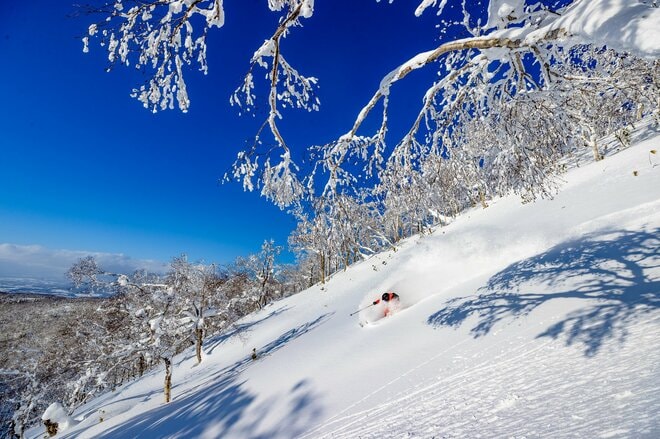 春の北海道で最高体験！ 「ルスツリゾートのカニ食べ放題＆春スキーを満喫」 北海道・2026年の画像002