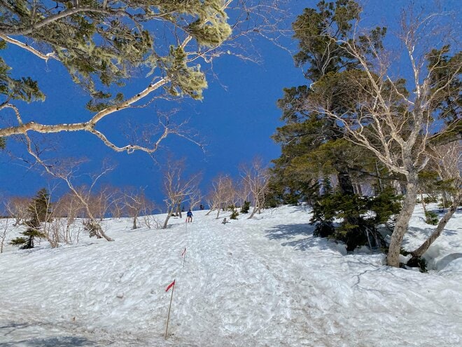【残雪期登山】林道ゲートが開通したばかりの中房温泉から「北アルプスの女王」燕岳へ登山！ 「今年は雪が溶けるのが早かった！？」 長野県・2022年の画像003