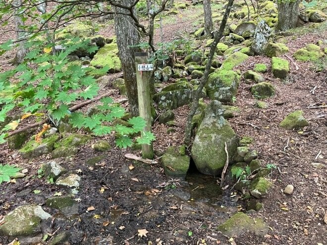 【首都圏近郊】1時間半で登頂できる山梨の隠れ名山「小楢山」紅葉の見頃はもうすぐ！の画像015