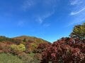 今週末の紅葉見るならどこ？ 名所＆人気スポットから最新情報をお届け「WEEKLY紅葉ニュース」【2023年10月第3週】の画像004