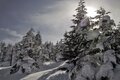 雪山の絶景を満喫！ ロープウェイ利用で通える「北八ヶ岳・坪庭」でのトレーニング！ 「大雪渓」感動ライター「登山レポ」の画像001