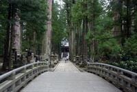 世界遺産登録20周年「高野山」で「宿坊」に泊まってみた！ 1200年続く「霊域での儀式」や厳かな「修行体験」＆驚きの「精進料理」とは？  真言密教「聖地の魅力」レポ