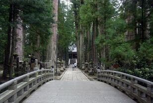 世界遺産登録20周年「高野山」で「宿坊」に泊まってみた！ 1200年続く「霊域での儀式」や厳かな「修行体験」＆驚きの「精進料理」とは？  真言密教「聖地の魅力」レポ