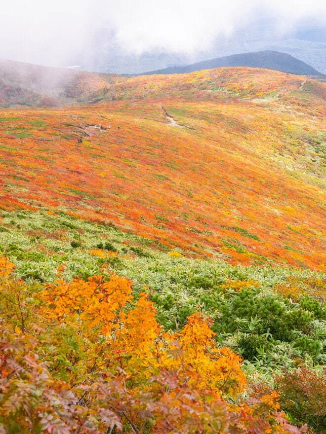 【一度は見たい秋山の絶景5選】山が最も華やぐ季節！  ハイカー女子が出会った紅葉の絨毯から黄金色の湿原まで、心奪われる錦秋の世界  2026年の画像001