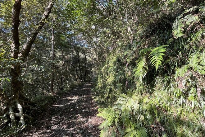 「海・山・森」丸ごと全部満喫できる！【観光復興キャンペーン実施中】行こう “復幸旅” アウトドアの楽園、八丈島へ｜2026年の画像004