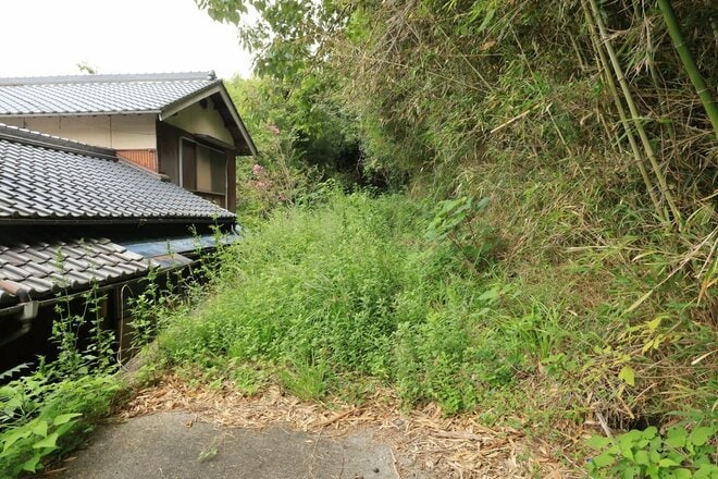 【NHK大河『豊臣兄弟！』ゆかりの城】突入するのはイノチガケ！？「播磨国・満田城〈前編〉」 城内地形に驚きの連続！（兵庫県三木市）【戦国の山城を攻める vol.07】の画像003