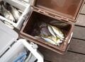 逆境を乗り越え「黄金アジ」ゲット＆「五目釣り」も達成！  絶品のアジフライや魚料理の数々で至福の打ち上げ【ブラマンフィッシング倶楽部 #1 「横須賀沖のLTアジ」 釣行編】の画像013