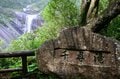 【世界自然遺産・屋久島】 屋久島をレンタカーで一周するドライブ旅「千尋の滝・大川の滝・ガジュマル・西部林道」を一日でめぐる！の画像010