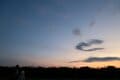 【バードウォッチング】必見！ 古都・平城宮跡の夕焼けに舞う6万羽のツバメ  “日本最大級”のねぐら入りに460人が魅了された！  奈良県｜2026年の画像006