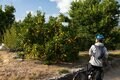 【関東近郊よりもよっぽど近い？】自転車旅のプロが「サイクリストの聖地」こと和歌山県田辺市の“ポテンシャル”を徹底検証してみた件の画像003