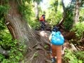 【親子旅】新潟と長野をつなぐ「塩の道」美しいブナ林で時の流れを感じたの画像006