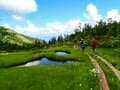 「雲上の花の楽園」夏の会津駒ヶ岳・ワンデイルート【親子旅】の画像005