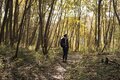 “秋山”最強コンボ【紅葉と渓谷トレッキング・第2回】首都圏からアクセス抜群の紅葉パワースポット！ 長瀞アルプスの主峰「宝登山」の画像002
