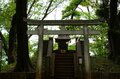 ココでしか見られない花がある「ムサシノキスゲ」唯一の自生地「浅間山公園」新緑の中で可憐に咲きほこる【東京都・府中市】の画像004