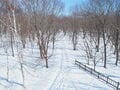 「これぞ冬の道東！」結氷した湖上も歩く！ スノーシュートレッキング【北海道・厳冬の釧路湿原レポート（2）シラルトロ湖】の画像005