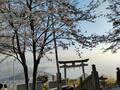 「桜と海」絶景の「瀬戸内コラボ」スポット多数！　香川県「お花見ハイキング」四国移住6年目ライター厳選「庭園・山頂・高台」3つの名所の画像008